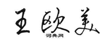 駱恆光王歐美行書個性簽名怎么寫