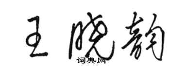 駱恆光王曉韻草書個性簽名怎么寫