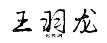 曾慶福王羽龍行書個性簽名怎么寫