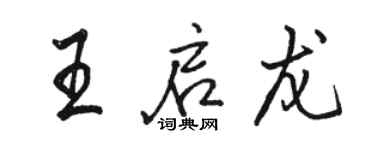駱恆光王啟龍行書個性簽名怎么寫