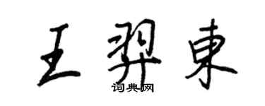 王正良王羿東行書個性簽名怎么寫