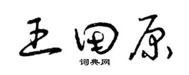 曾慶福王田原草書個性簽名怎么寫