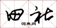 朱錫榮田社草書怎么寫
