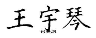 丁謙王宇琴楷書個性簽名怎么寫