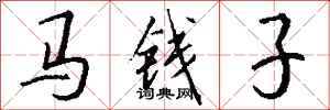 錢沛雲馬錢子行書怎么寫