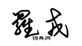 朱錫榮羅戎草書個性簽名怎么寫