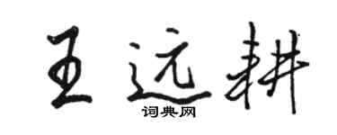 駱恆光王遠耕行書個性簽名怎么寫