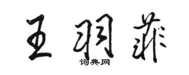駱恆光王羽菲行書個性簽名怎么寫