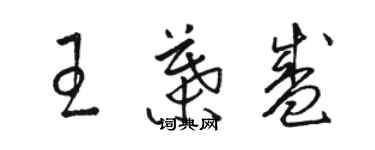 駱恆光王葉盛草書個性簽名怎么寫