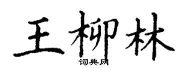 丁謙王柳林楷書個性簽名怎么寫