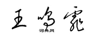 梁錦英王鳴霏草書個性簽名怎么寫