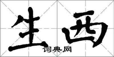 翁闓運生西楷書怎么寫