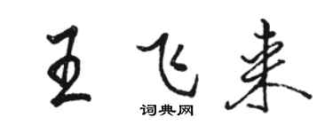 駱恆光王飛來行書個性簽名怎么寫