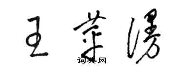 駱恆光王苹漫草書個性簽名怎么寫