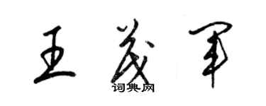 梁錦英王茂軍草書個性簽名怎么寫