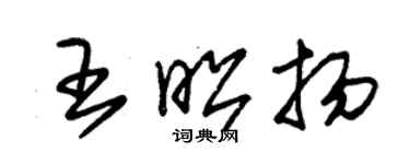 朱錫榮王昭揚草書個性簽名怎么寫