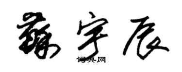 朱錫榮蘇宇辰草書個性簽名怎么寫