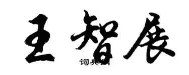 胡問遂王智展行書個性簽名怎么寫