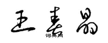 曾慶福王春晶草書個性簽名怎么寫