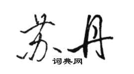 駱恆光蘇丹行書個性簽名怎么寫