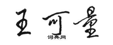 駱恆光王可量行書個性簽名怎么寫