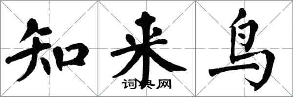 翁闓運知來鳥楷書怎么寫