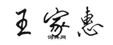 駱恆光王家惠行書個性簽名怎么寫