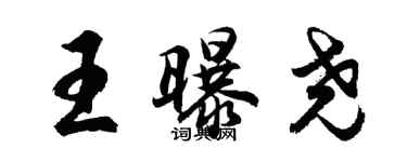 胡問遂王曝堯行書個性簽名怎么寫