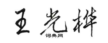 駱恆光王光樺行書個性簽名怎么寫