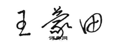駱恆光王蒙田草書個性簽名怎么寫