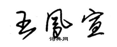 朱錫榮王鳳宣草書個性簽名怎么寫