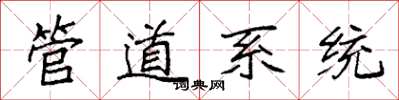 袁強管道系統楷書怎么寫