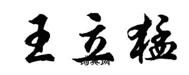 胡問遂王立猛行書個性簽名怎么寫