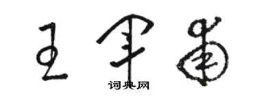 駱恆光王軍甫草書個性簽名怎么寫