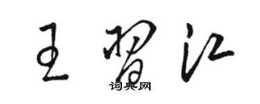 駱恆光王習江草書個性簽名怎么寫