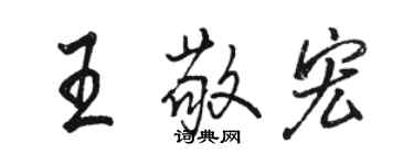 駱恆光王敬宏行書個性簽名怎么寫