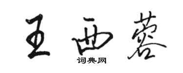 駱恆光王西蓉行書個性簽名怎么寫