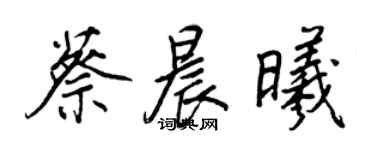 王正良蔡晨曦行書個性簽名怎么寫