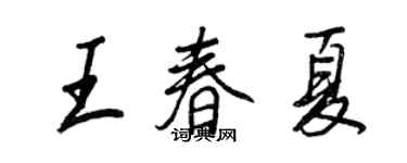 王正良王春夏行書個性簽名怎么寫