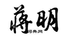 胡問遂蔣明行書個性簽名怎么寫