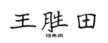 袁強王勝田楷書個性簽名怎么寫
