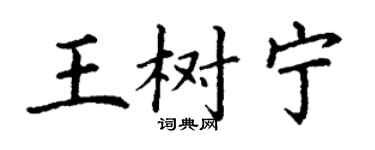 丁謙王樹寧楷書個性簽名怎么寫