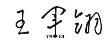 駱恆光王軍翎草書個性簽名怎么寫