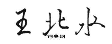 駱恆光王北水行書個性簽名怎么寫