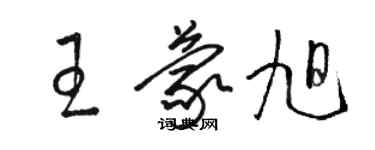 駱恆光王蒙旭草書個性簽名怎么寫