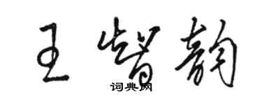 駱恆光王智韻草書個性簽名怎么寫