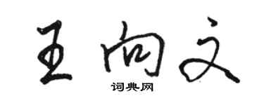 駱恆光王向文行書個性簽名怎么寫
