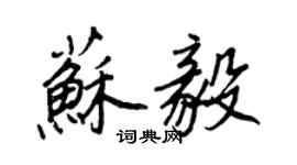 王正良蘇毅行書個性簽名怎么寫