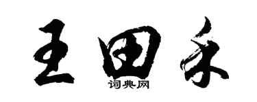 胡問遂王田禾行書個性簽名怎么寫