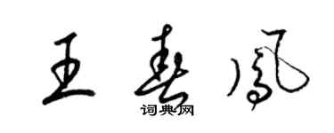 梁錦英王春鳳草書個性簽名怎么寫